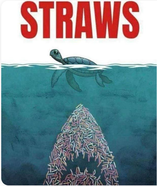 1600036882680.png