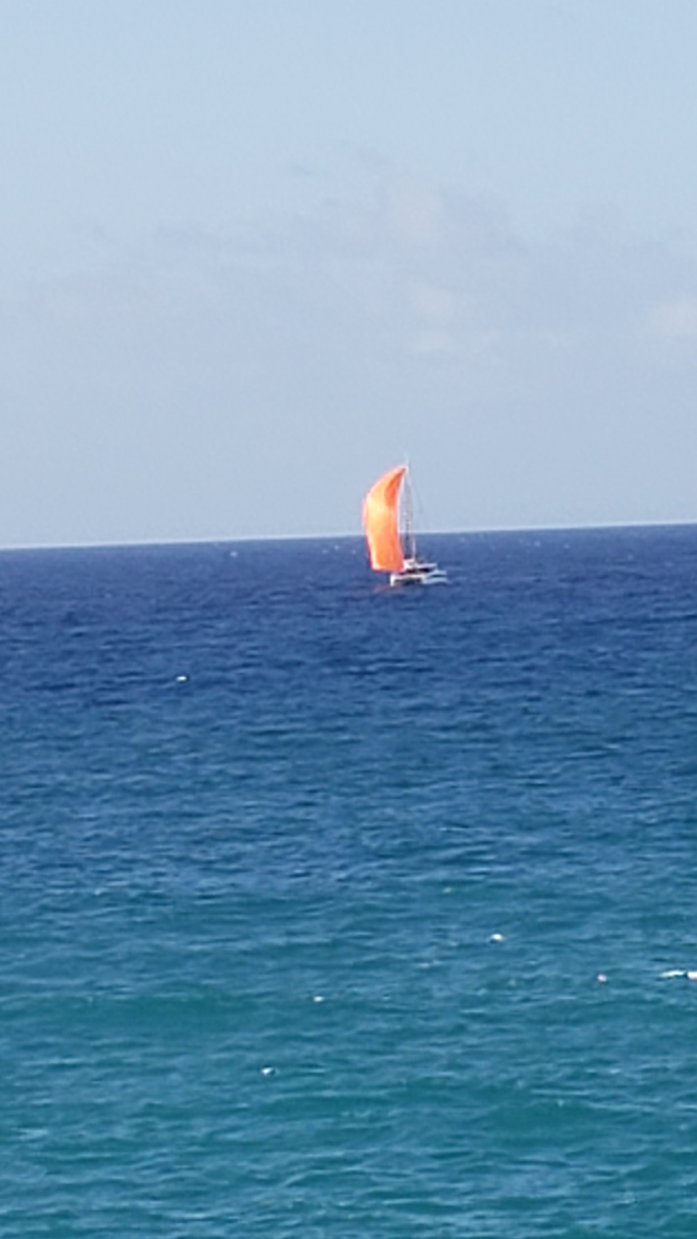 20200728_165838.jpg