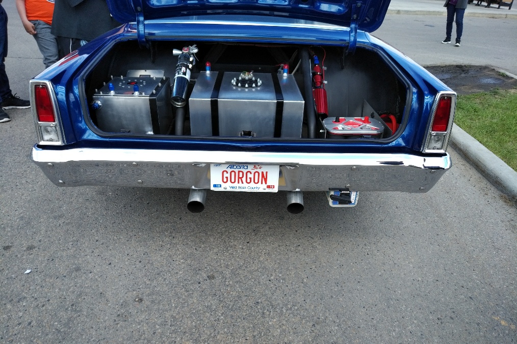 Gorgon 1.jpg