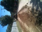 IMG_0246.jpg IMG_0246.jpg