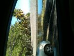 IMG_0220.jpg IMG_0220.jpg