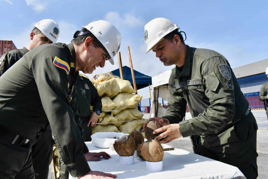 Cocaina-diluida-en-cocos-Colombia-desde-RD-Diario-Libre-1024x684.png