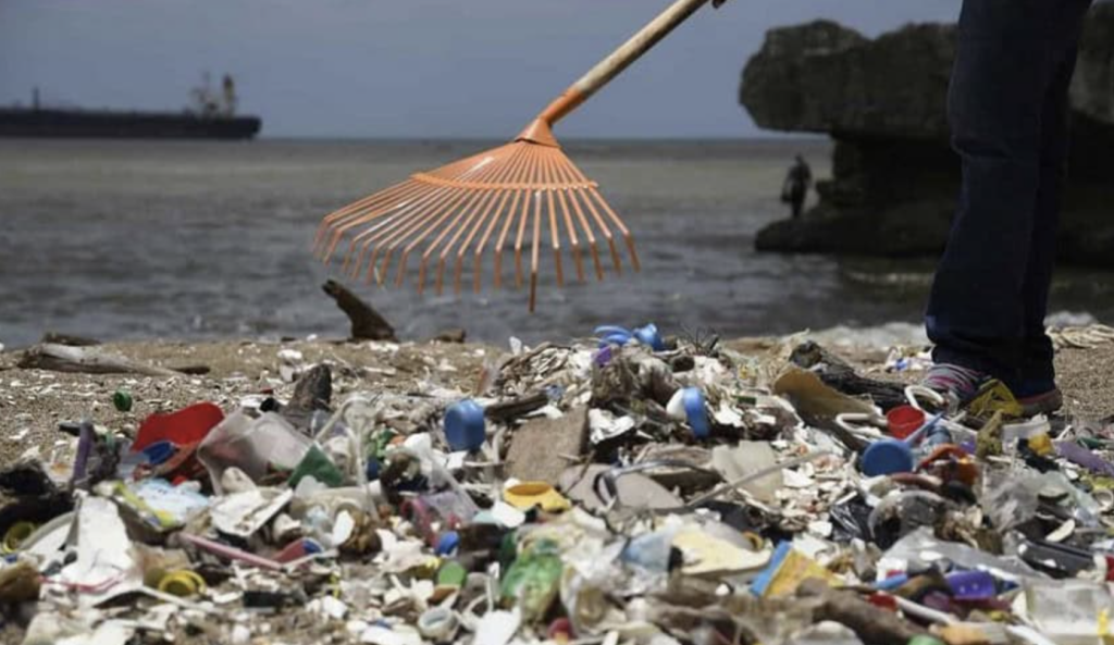 Calling for an end to foam in supermarkets