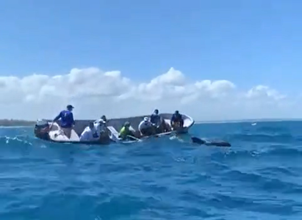 Rescate-Ballena-Punta-Cana-El-Nacional.png